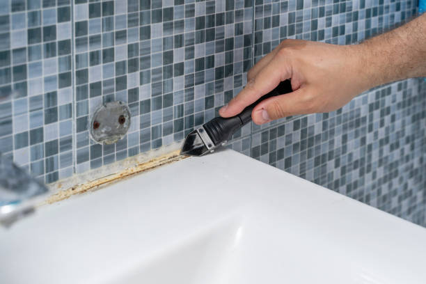Home Mold Removal in Florence, SC